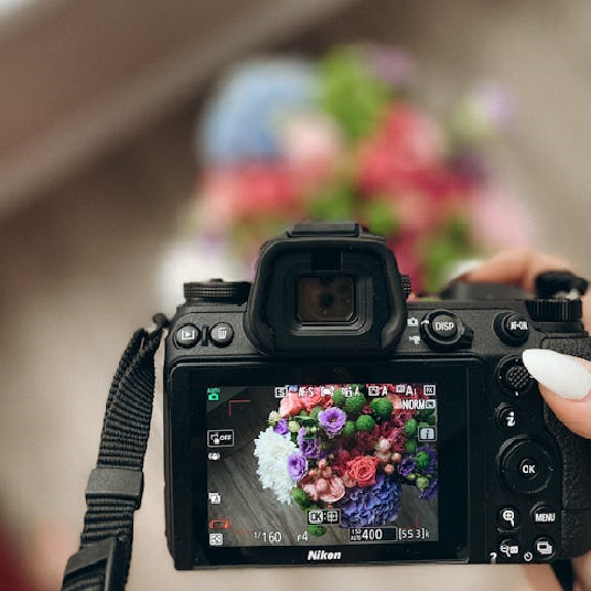 Nikon Cameras